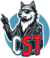 CODIGO STONE